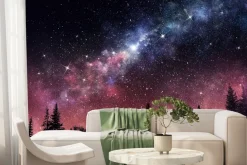 Fototapeta: Nocny krajobraz z lasem i gwiazdami