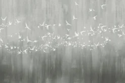 Fototapeta: Nowoczesny wzór betony z ptakami