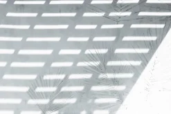 Fototapeta: Odbicie palm na białym tle z cieniem