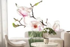 Fototapeta: Łodyga storczyka z białymi kwiatami