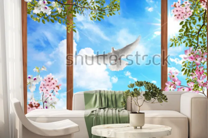 Fototapeta: Okno z widokiem na kwitnące gałązki i białego gołębia