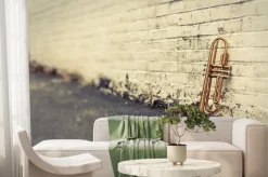 Fototapeta: Old brick wall trąbka