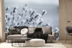 Fototapeta: Oszronione kwiaty lawendy