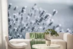 Fototapeta: Oszronione kwiaty lawendy