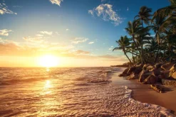 Fototapeta: Palmy na tropikalnej plaży