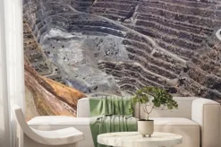 Fototapeta: Pan waszyngton super pit close pionie