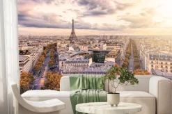 Fototapeta: Paris city with eiffel tower viewed from the arc de triomphe
