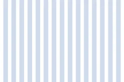 Fototapeta: Pasiasty klasyczny wzór