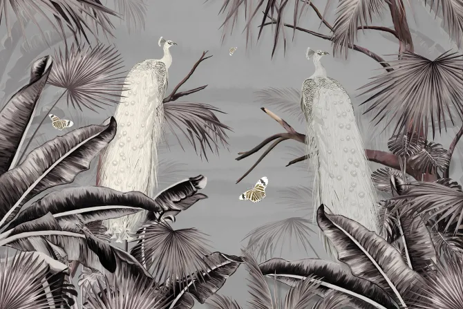 Fototapeta: Pawie ptaki w tropikalnym krajobrazie