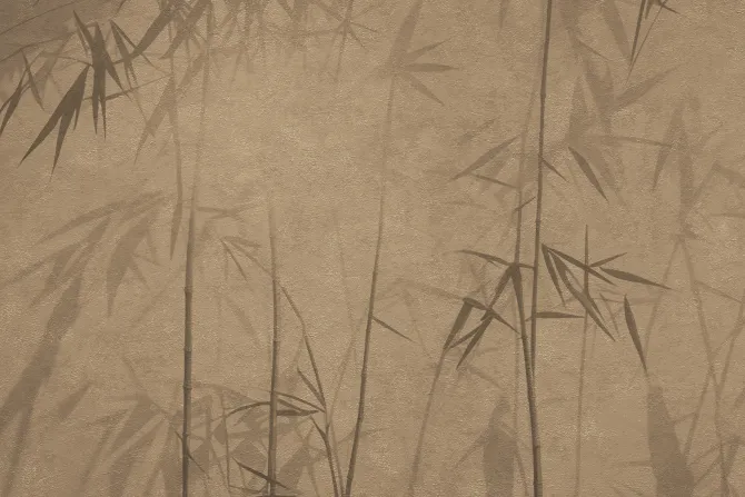 Fototapeta: Pędy bambusu na brązowej ścianie