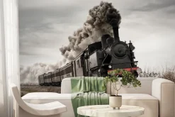 Fototapeta: Pędząca lokomotywa parowa po torach