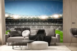 Fototapeta: Pełny stadion piłkarski pod wieczornym niebem