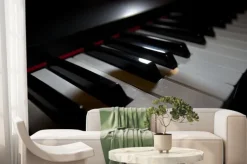 Fototapeta: Piano keyboard (piano / digital piano, closeup view)