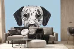 Fototapeta: Pies dalmatyńczyk na niebieskim tle