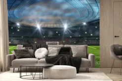 Fototapeta: Piłka na stadionie