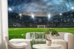 Fototapeta: Piłka na stadionie