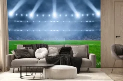 Fototapeta: Piłka nożna na stadionie