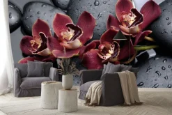 Fototapeta: Piękne storczyki na czarnych kamieniach