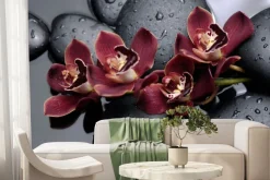 Fototapeta: Piękne storczyki na czarnych kamieniach