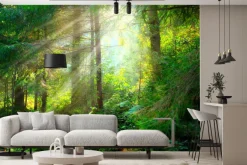 Fototapeta: Piękny mglisty krajobraz zielony las