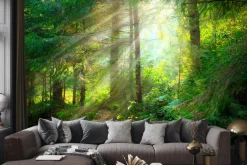 Fototapeta: Piękny mglisty krajobraz zielony las