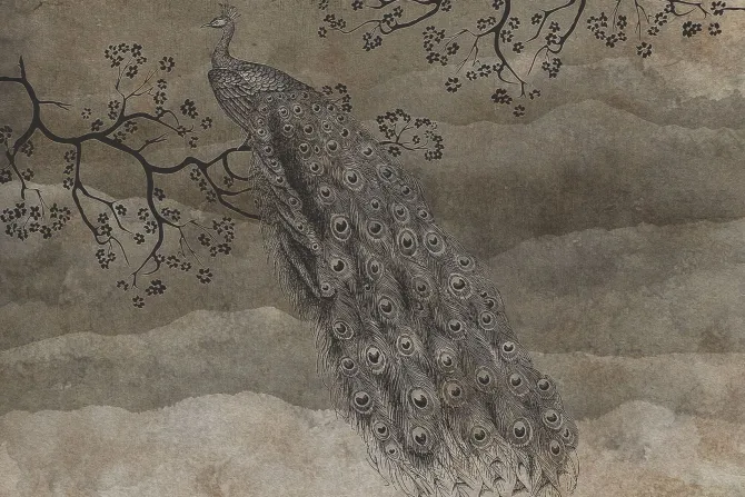 Fototapeta: Piękny paw na gałęzi na brązowym tle z teksturą