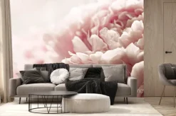 Fototapeta: Pąk różowej piwonii w ujęciu makro