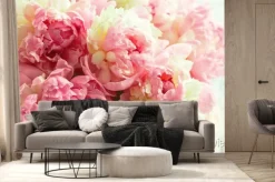 Fototapeta: Pąki różowych piwonii duże kwiaty