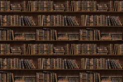 Fototapeta: Półki z książkami w bibliotece