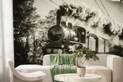 Fototapeta: Pociąg jadący po torach w stylu vintage