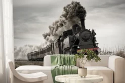 Fototapeta: Pociąg parowy krajobraz w stylu vintage