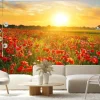 Fototapeta: Pole maków o wschodzie słońca letni krajobraz