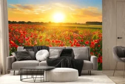 Fototapeta: Pole maków o wschodzie słońca letni krajobraz