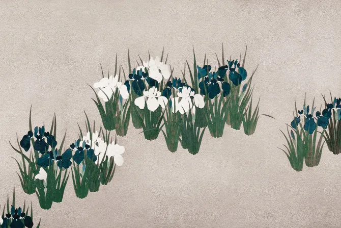 Fototapeta: Polne kwiaty na jasnym tle