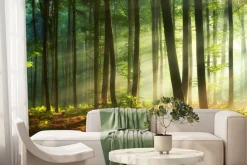 Fototapeta: Poranek w mglistym lesie naturalny krajobraz