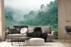 Fototapeta: Poranna gęsta mgła w lesie deszczowym