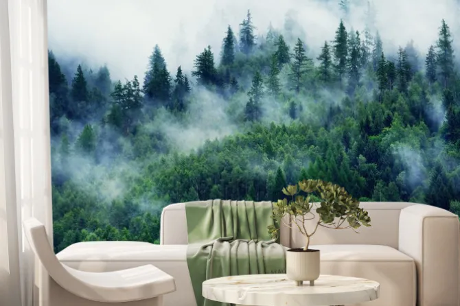 Fototapeta: Poranna mgła w gęstym lesie jodłowym w górach