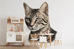 Fototapeta: Portret dachowego kota