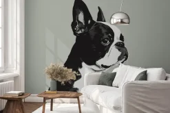 Fototapeta: Portret psa buldog francuski