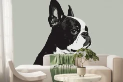 Fototapeta: Portret psa buldog francuski