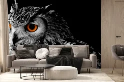 Fototapeta: Portret sowy na ciemnym tle