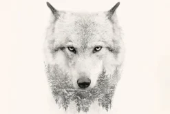 Fototapeta: Portret wilka z imitacją lasu iglastego