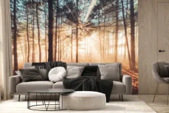 Fototapeta: Promienie słońca przebijające się przez mglisty las