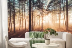 Fototapeta: Promienie słońca przebijające się przez mglisty las