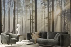Fototapeta: Promienie słońca przenikające przez mglisty las