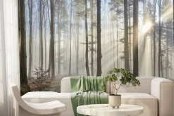 Fototapeta: Promienie słońca przenikające przez mglisty las