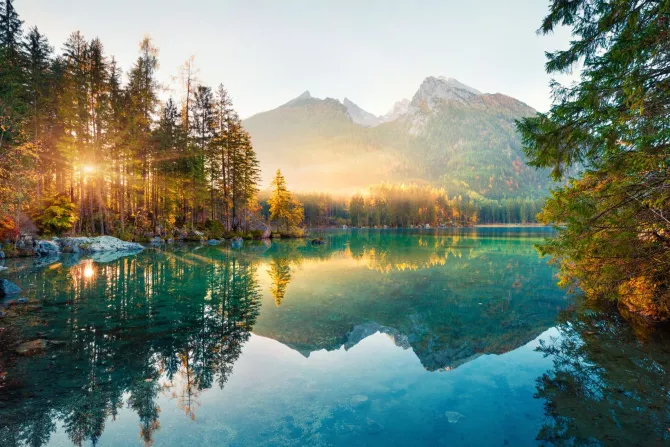 Fototapeta: Promienie słoneczne gór przebijające się przez las