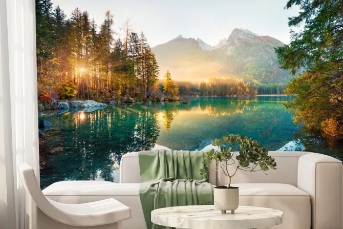 Fototapeta: Promienie słoneczne gór przebijające się przez las