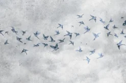 Fototapeta: Ptaki na betonowym tle w stylu loft