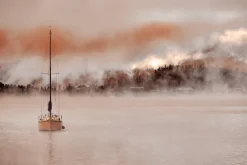 Fototapeta: Płynącą żaglówka na tle zamglonego lasy